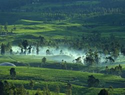 Pariwisata Berkelanjutan: Langkah-langkah Menuju Destinasi Ramah Lingkungan