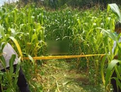 Penemuan Mayat Guncang Warga Botolinggo Bondowoso