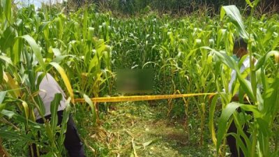 Penemuan Mayat Guncang Warga Botolinggo Bondowoso