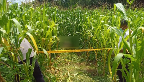 Penemuan Mayat Guncang Warga Botolinggo Bondowoso