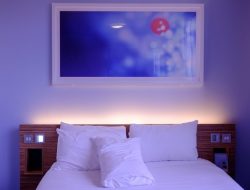 Rekomendasi Hotel Wisata di Situbondo, Pilihan Akomodasi yang Nyaman dan Strategis