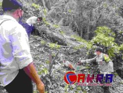 Mayat Tanpa Identitas Ditemukan Membusuk Di Hutan Gandusari