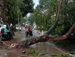 Hujan Deras dan Angin Kencang Lumpuhkan Kecamatan Tanggul Puluhan Rumah Rusak