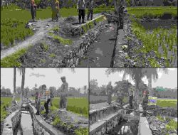 Pemerintah Desa Subo Fokus Penguatan Pertanian dan Kesejahteraan Warga di Tahun Anggaran 2025