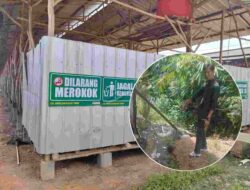 Kesehatan Warga Terancam, Sungai Tercemar Limbah Ayam di Way Kanan: Ada Upaya Penyuapan Jurnalis?