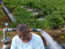 Kontraktor Sukses, Haji Sidik: Bukti Keberhasilan di Bidang Pengeboran dan Pertanian