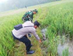 Lagi-Lagi Jebakan Tikus Makan Korban, Warga Desa Sambeng Tewas Tersengat Listrik