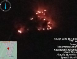 Lagi, Hutan di Situbondo Terbakar: Kerusakan Lingkungan Berulang dan Desakan untuk Tindakan Serius
