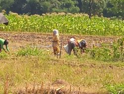 LSM Perjuangan Akan Kawal Terus Kasus Penyerobotan Lahan di Curah Tatal, Situbondo