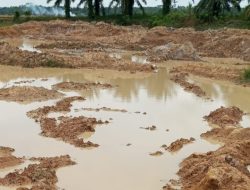 Warga Kampung Sendang Mulyo Cetak Ulang Sawah Swadaya, Harap Panen Dua Kali Setahun