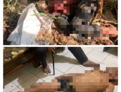 Apes! Pelaku Curanmor di Pasuruan Terluka Parah Kena Ledakan Bondet Sendiri