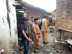 Akibat Lupa Mematikan Kompor , Tujuh Rumah Di Jember Di Lalap Si Jago Merah