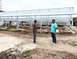 Ketua BUMDes Sumber Agung Luncurkan Program Ketahanan Pangan di Pringsewu