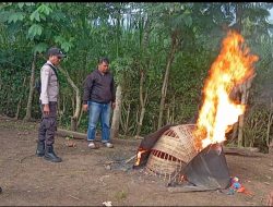 Polres Malang Bongkar Arena Judi Sabung Ayam di Kalipare