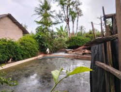 Warga Pekon Padang Rejo Keluhkan Bau Menyengat Limbah Pabrik Tahu, Desak Dinas Terkait.