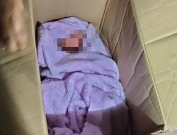 Seorang Bayi Perempuan di Temukan Oleh Warga Kebon Agung kecamatan Kaliwates Jember