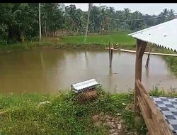 Dana BUMDes Rp185 Juta Dipertanyakan, Warga Desa Fajar Mulia Desak Audit Transparan