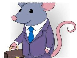 DUGAAN PENYALAHGUNAAN ANGGARAN APBPEKON SUKARATU CAPAI RATUSAN JUTA, KEPALA PEKON DIDUGA MAINKAN ANGGARAN