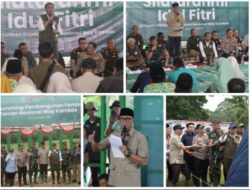 Pemerintah Bangun Pembatas 138 Km di Way Kambas, Solusi Permanen Konflik Gajah dan Manusia.