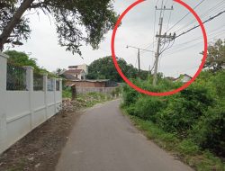 Bahayakan Warga, Tiang Listrik di Mimbaan Hanya Diikat ke Pohon: LSM Perjuangan Rakyat Ancam Demo PLN Asembagus