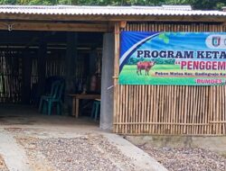 Realisasi Ketahanan Pangan Melalui BUMDES Arta Guna ,Pekon Wates Dipertanyakan