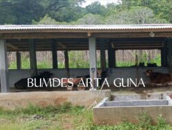 BUMDes Arta Guna Pekon Wates ,Pringsewu Mengaku Tidak Tahu Menahu Terkait Realisasi Dana Ketahanan Pangan.