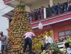 Pesta Durian di Desa Kronto: Tradisi Tahunan yang Memikat Hati Wisatawan