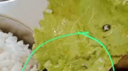 Heboh ! Ada Ulat di Menu MBG Teluk Pandan 