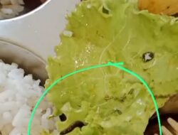 Heboh ! Ada Ulat di Menu MBG Teluk Pandan 