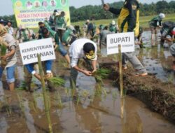 Pemkab Bengkulu Tengah Perkuat Swasembada Pangan Melalui Gerakan Tanam Bersama Didesa Srikuncoro