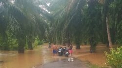 Akses Jalan Terendam Banjir, Siswa di Desa Kota Titik Tak Bisa Sekolah ,Aktivitas Warga Lumpuh
