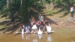 Sinergi Pemdes dan BUMDes Air Napal dalam Menciptakan Lapangan Kerja Lokal