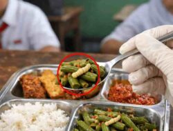 Kronis! Sayur Kacang Panjang Berulat di SPPG Opo-opo, Sistem Pengawasan Dikritik Gagal