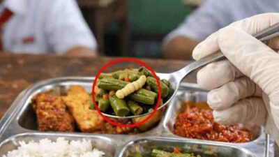 Kronis! Sayur Kacang Panjang Berulat di SPPG Opo-opo, Sistem Pengawasan Dikritik Gagal