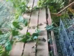 DUGAAN PENYIMPANGAN DANA DESA RP130 JUTA DI DESA KEBUN TELUK DALAM, LSM GMBI DESAK AUDIT TOTAL