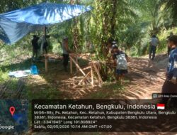Babinsa Koramil 423-01/Ketahun Dampingi Pembangunan Jembatan Gantung di Desa Kualalangi