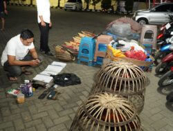 Polres Situbondo Tetapkan 4 Tersangka Judi Sabung Ayam di Mangaran, Puluhan Motor Disita