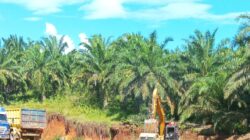 Tambang Galian C Ilegal di Pringsewu Beroperasi Bebas, Diduga Ada Pembiaran.