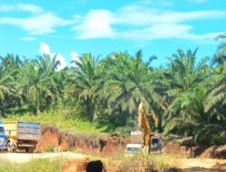Tambang Galian C Ilegal di Pringsewu Beroperasi Bebas, Diduga Ada Pembiaran.
