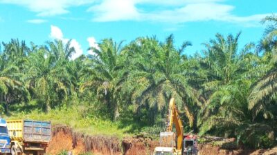 Tambang Galian C Ilegal di Pringsewu Beroperasi Bebas, Diduga Ada Pembiaran.