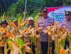 Kapolsek Pangkalan Banteng Pimpin Panen Raya Jagung Serentak se-Kecamatan Pangkalan Banteng
