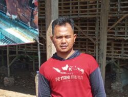 Program Ketahanan Pangan Pekon Srikaton Kembangkan Usaha Ayam Petelur.