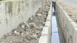 Ekodrainase: Solusi Konservasi Air Berbeda dengan Sistem Konvensional