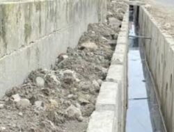 Ekodrainase: Solusi Konservasi Air Berbeda dengan Sistem Konvensional