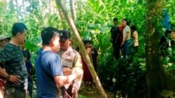 KERANGKA MANUSIA DITEMUKAN DI BUKIT TUNGU KALISAT JEMBER