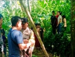 KERANGKA MANUSIA DITEMUKAN DI BUKIT TUNGU KALISAT JEMBER