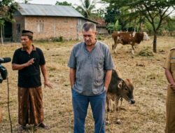 Dugaan Penyelewengan Bantuan Sapi di Desa Sidoluhur: Kades Bungkam, Kasun Lempar Tanggung Jawab