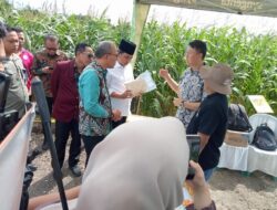 BUPATI JEMBER DAN FAKULTAS PERTANIAN UKRI LUNCURKAN INKUBATOR AGRIBISNIS, JEMBER DORONG HILIRISASI JAGUNG
