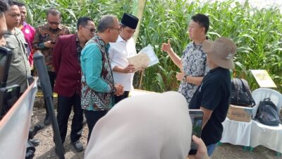 BUPATI JEMBER DAN FAKULTAS PERTANIAN UKRI LUNCURKAN INKUBATOR AGRIBISNIS, JEMBER DORONG HILIRISASI JAGUNG