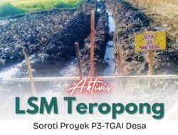 Aktivis LSM Teropong Soroti Dugaan Pelanggaran Proyek P3-TGAI Desa Battal
